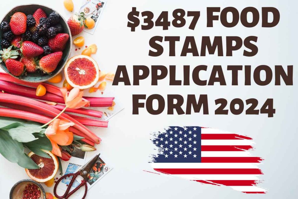 $3487 FOOD STAMPS APPLICATION FORM 2024