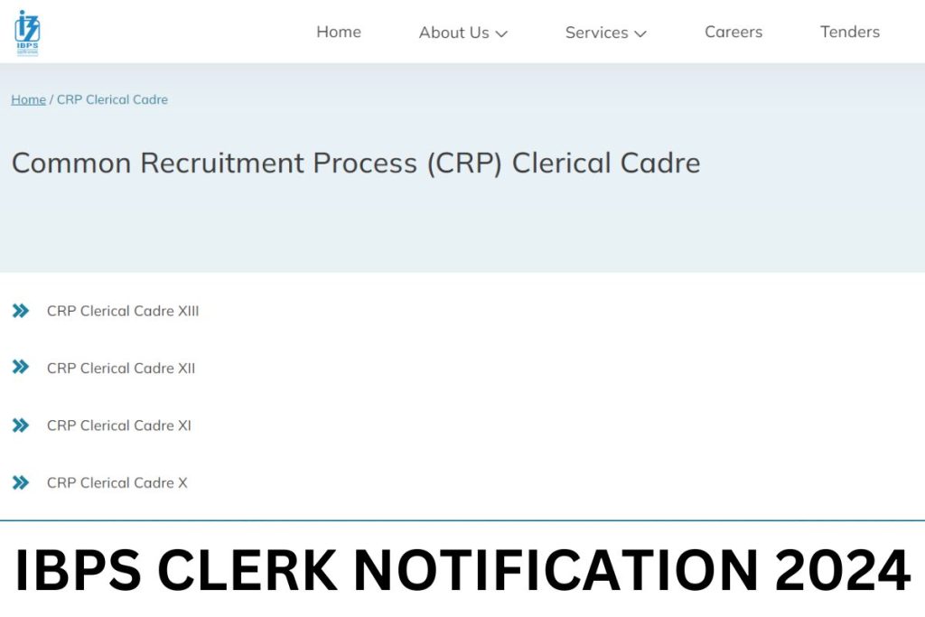 IBPS Clerk Notification 2024, Recruitment, Application Form Start Date