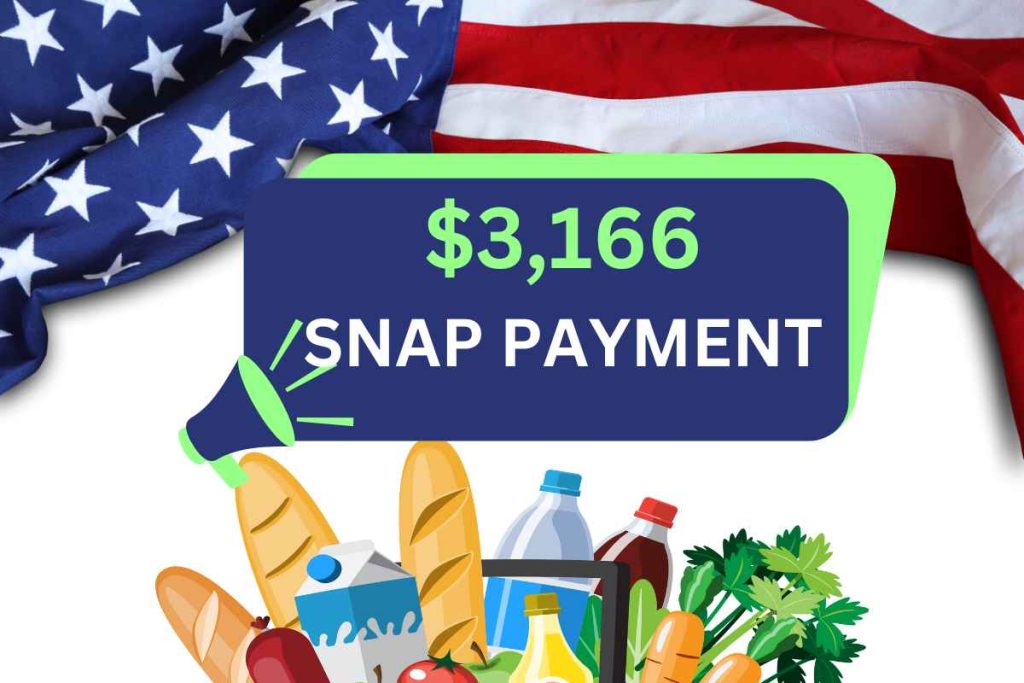 $3,166 SNAP Payment May 2024 - Know Release Date & Eligibility